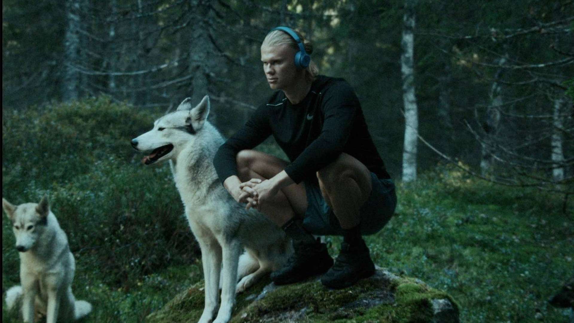 中的针对性 中的针对性